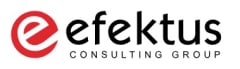 EFEKTUS Group